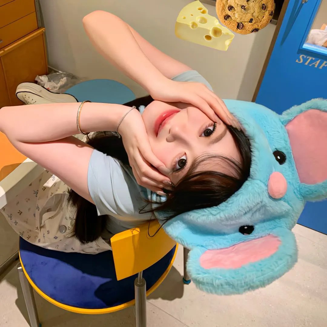 仙女座报告